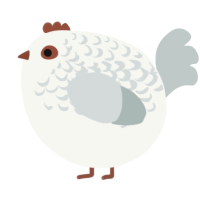 A white and silver chicken with a half-lace pattern