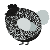 A sable and silver chicken with a double-lace pattern