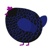 A black and navy chicken with a lace pattern