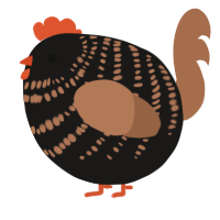 A sable and brown chicken with a bar pattern