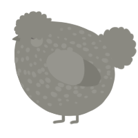 A ash chicken with a speckle pattern