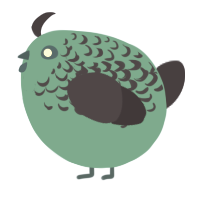 A cerulean and navy chicken with a half-lace pattern
