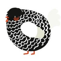 A black and white chicken with a lace pattern