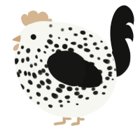 A white and black chicken with a speckle pattern