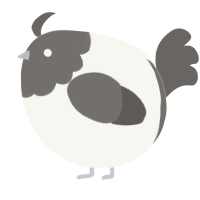 A white and grey chicken with a head pattern