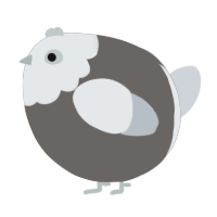 A grey and mist chicken with a head pattern
