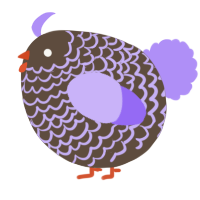 A bark and lilac chicken with a lace pattern