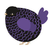A sable and overcast chicken with a lace pattern