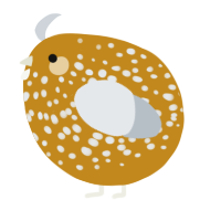 A ochre and mist chicken with a speckle pattern