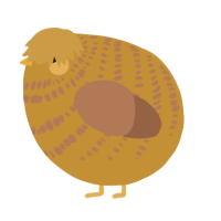 A gold and brown chicken with a bar pattern