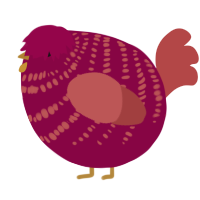 A maroon and red chicken with a bar pattern