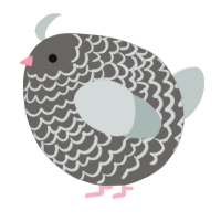 A grey and silver chicken with a lace pattern