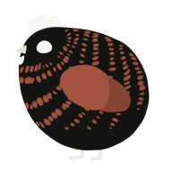 A black and russet chicken with a bar pattern