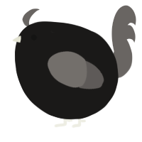 A sable and grey chicken