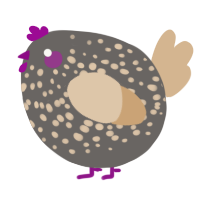 A grey and beige chicken with a speckle pattern