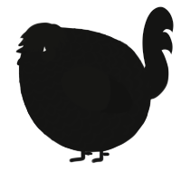 A black chicken with a lace pattern