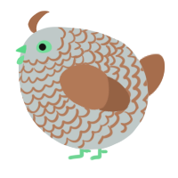 A silver and brown chicken with a lace pattern