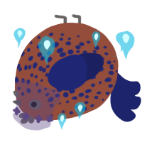 A russet and navy chicken with a speckle pattern