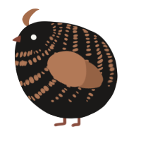 A sable and brown chicken with a bar pattern