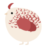 A cream and red chicken with a half-lace pattern
