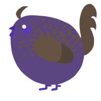 A overcast and bark chicken with a half-lace pattern