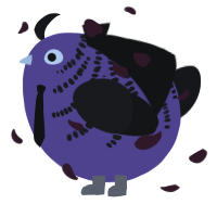 A overcast and sable chicken with a half-bar pattern
