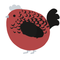 A red and sable chicken with a half-lace pattern