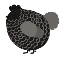 A sable and grey chicken with a lace pattern