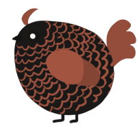 A sable and russet chicken with a lace pattern
