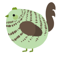 A gluppy and bark chicken with a bar pattern