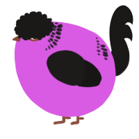 A orchid and sable chicken with a neck-band pattern