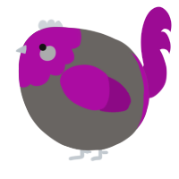 A grey and plum chicken with a head pattern