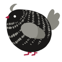 A sable and ash chicken with a bar pattern