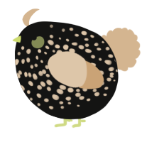 A black and beige chicken with a speckle pattern