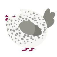 A white and ash chicken with a speckle pattern