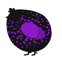 A black and violet chicken with a speckle pattern