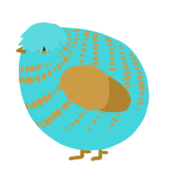 A aqua and gold chicken with a bar pattern