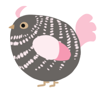 A grey and rose chicken with a bar pattern