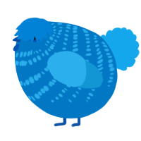 A sapphire and sky chicken with a bar pattern