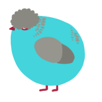A aqua and ash chicken with a neck-band pattern
