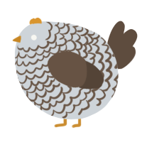 A mist and bark chicken with a lace pattern