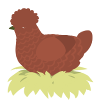 A russet chicken with a lace pattern