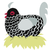 Elliot, a black and silver chicken with a lace pattern
