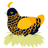 Wood Burning Stove, a tumblr and orange chicken with a lace pattern