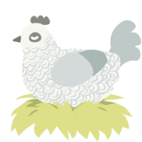 A white and silver chicken with a double-lace pattern