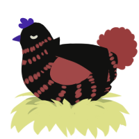 Mars, a black and red chicken with a bar pattern