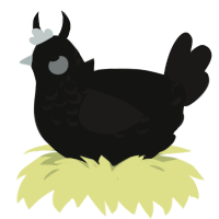 A black and sable chicken with a half-lace pattern