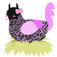 join my emo band, a black and lavender chicken with a double-lace pattern