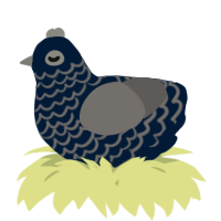 A tumblr and grey chicken with a lace pattern