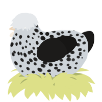 A mist and sable chicken with a speckle pattern